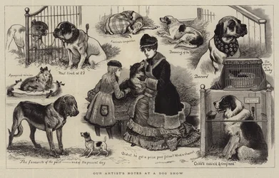 Notizen unseres Künstlers auf einer Hundeshow